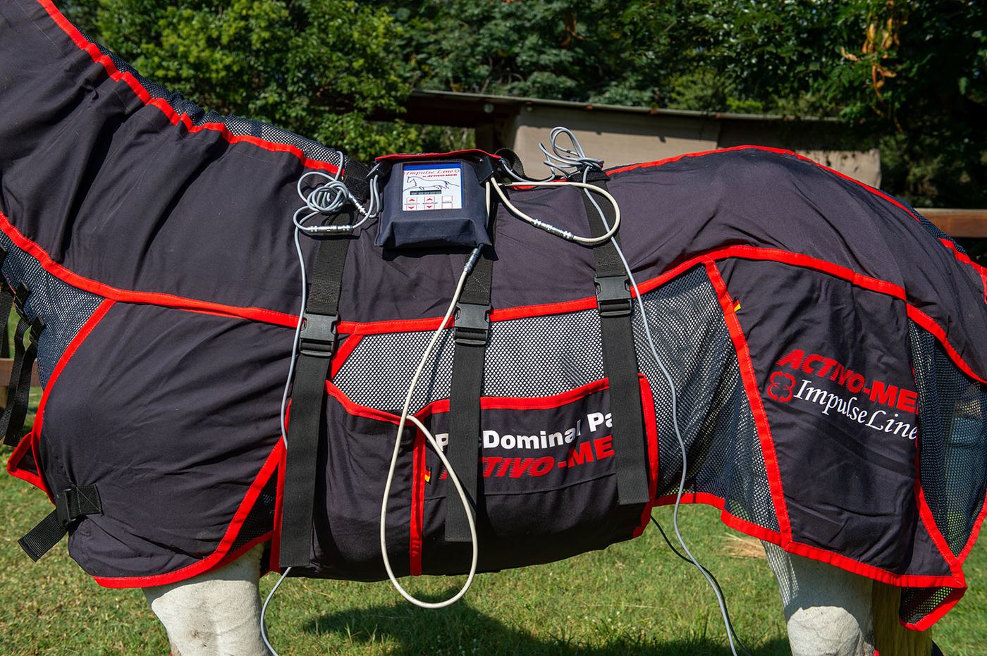 Grey horse wearing the Activo-Med PEMF blanket and leg wraps
