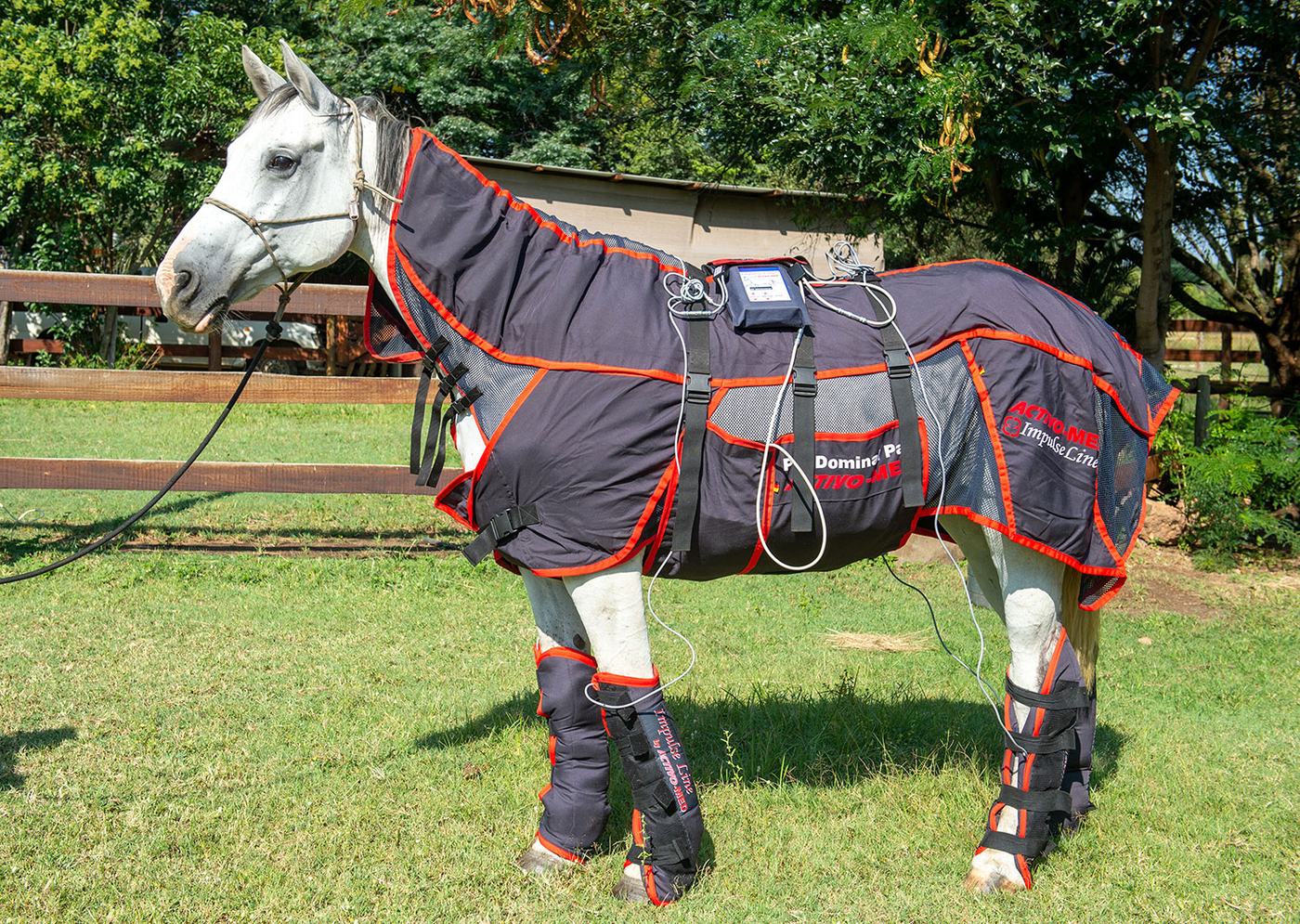 Activo-Med blanket and Pecdominal pad on a grey horse